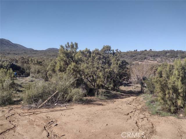 Anza, CA 92539,37400 Tripp Flat Road