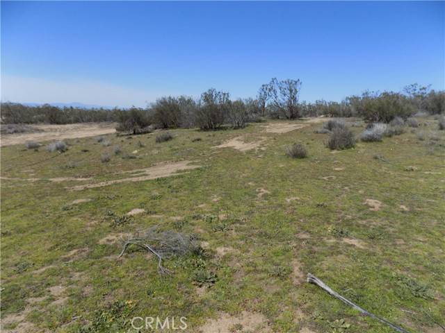 Aguanga, CA 92536,0 Thouroughbred Ct