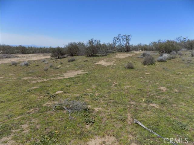 Aguanga, CA 92536,0 Thouroughbred Ct