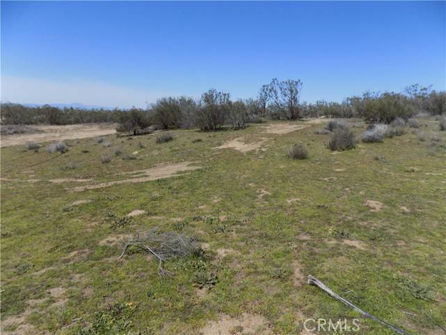 Aguanga, CA 92536,0 Thouroughbred Ct