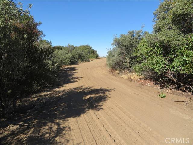 Anza, CA 92539,23 Jimson Rd