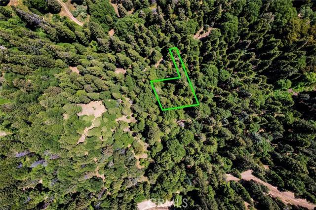 Cedarpines Park, CA 92322,0 Mojave River Road