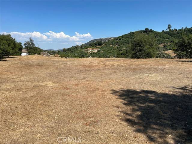 Temecula, CA 92590,15 Camino Estribo