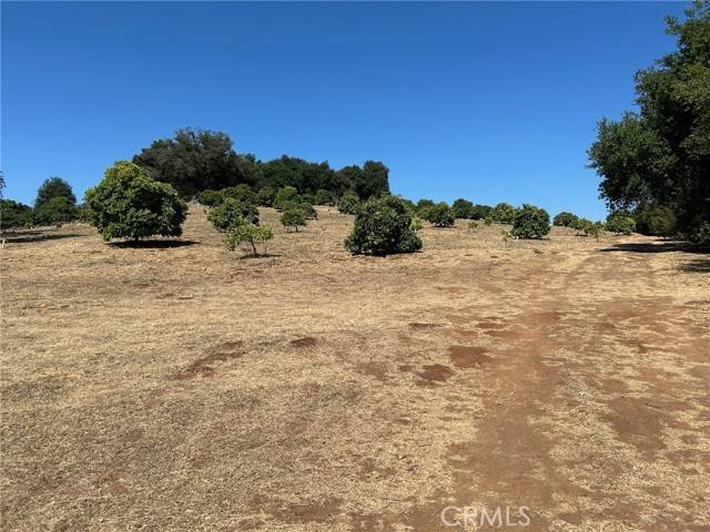 Temecula, CA 92590,15 Camino Estribo