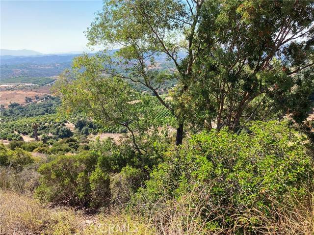 Temecula, CA 92590,37 El Calamar Road