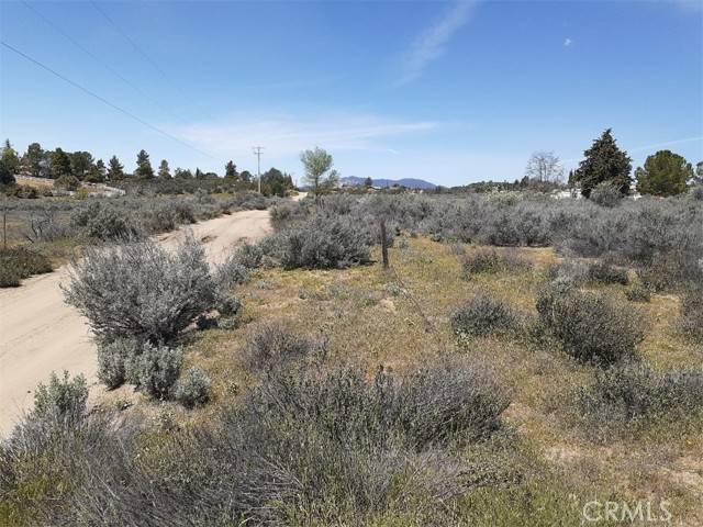 Anza, CA 92539,0 Derry Road