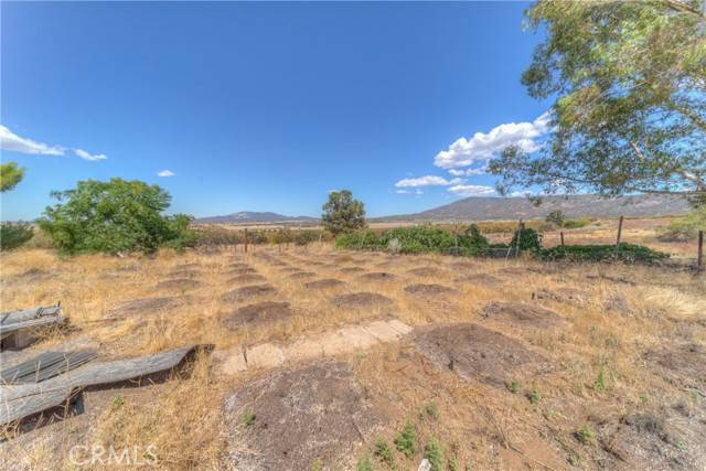 Anza, CA 92539,58650 Wellman Road