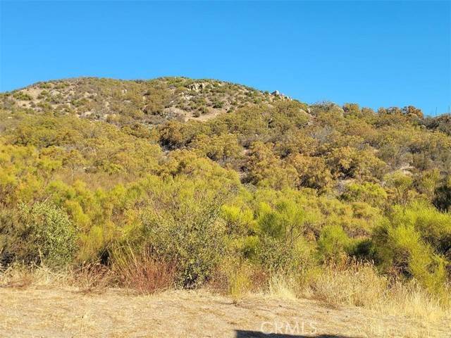 Anza, CA 92539,0 Gulley View