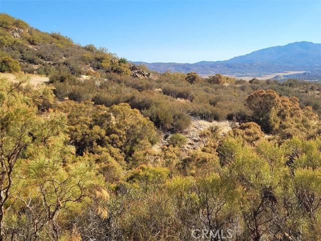 Anza, CA 92539,0 Gulley View