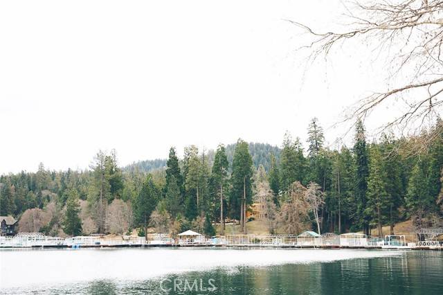 Lake Arrowhead, CA 92352,395 Primrose Circle