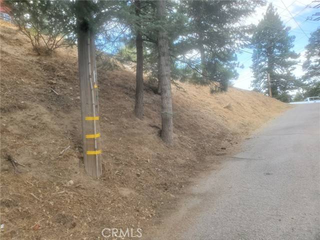 Crestline, CA 92325,709 Arosa Drive