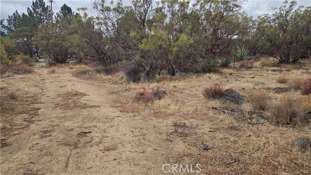 Anza, CA 92539,0 Springs Trail