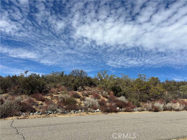 Anza, CA 92539,56857 Penny Lane Road
