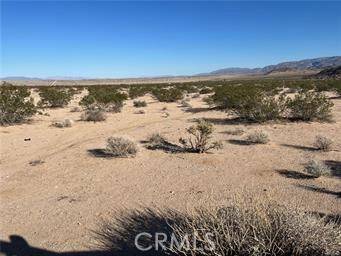 Joshua Tree, CA 92552,256 EL REY