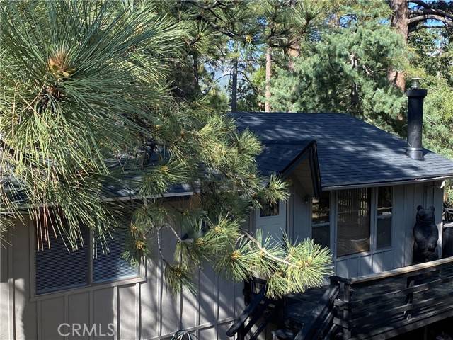 Idyllwild, CA 92549,25300 Marion Ridge Drive