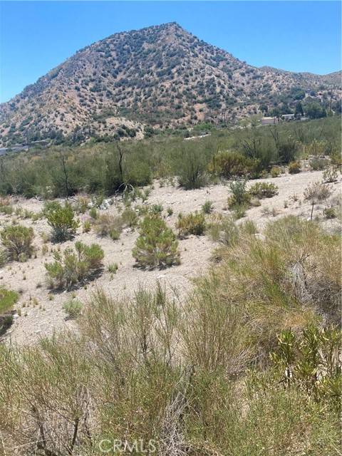 Pinon Hills, CA 91401,0 Farris Ranch Road