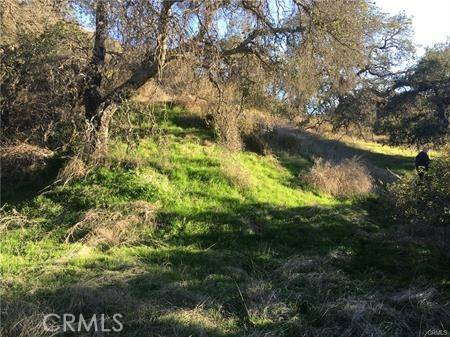 Temecula, CA 92590,9 La Cruz Drive