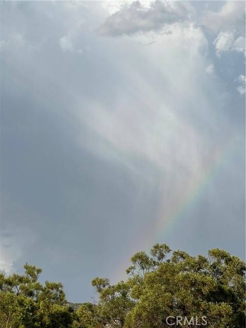 Julian, CA 92036,12 Black Canyon