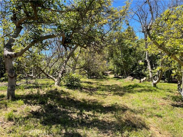 Temecula, CA 92590,3 Los Gatos