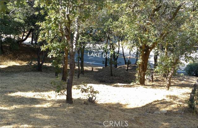 Crestline, CA 92325,0 Lake Drive