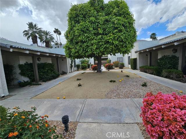 Palm Springs, CA 92264,1150 E Palm Canyon Drive #54