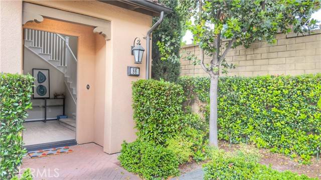 Irvine, CA 92620,86 Twinflower