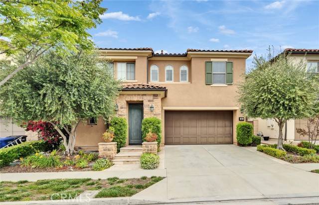 Lake Forest (el Toro), CA 92630,23 Snapdragon