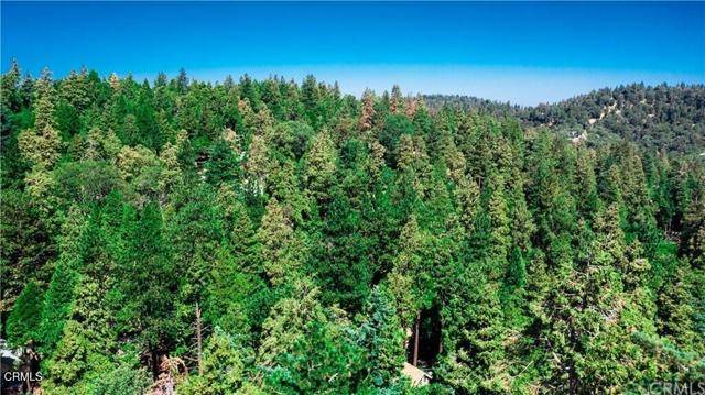 Crestline, CA 92325,23624 Scenic Drive