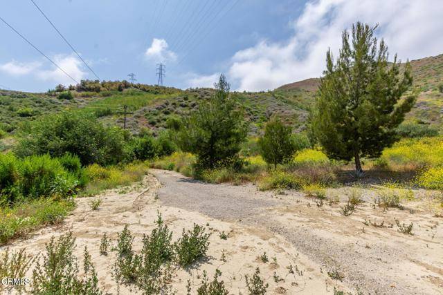 Piru, CA 93040,3629 Center Street Street