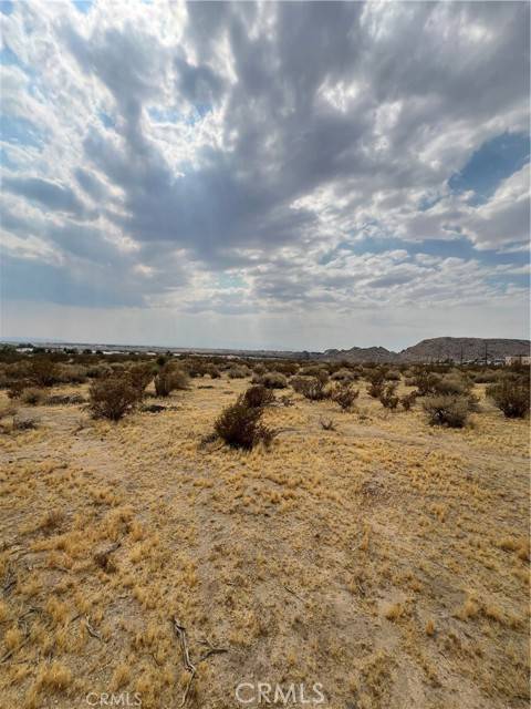 Adelanto, CA 92301,0 Joshua Tree Road