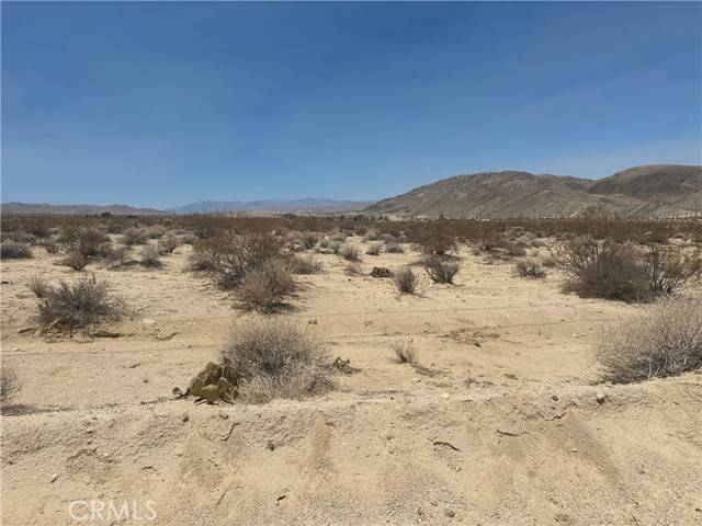 Twentynine Palms, CA 92277,0 Mantonya Road