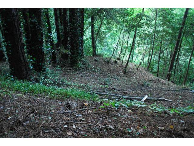 Los Gatos, CA 95033,0 APACHE Trail