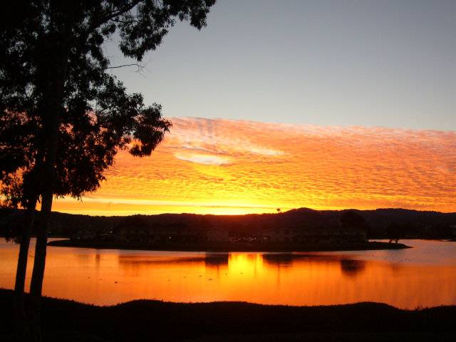 Foster City, CA 94404,815 SEA SPRAY Lane #315