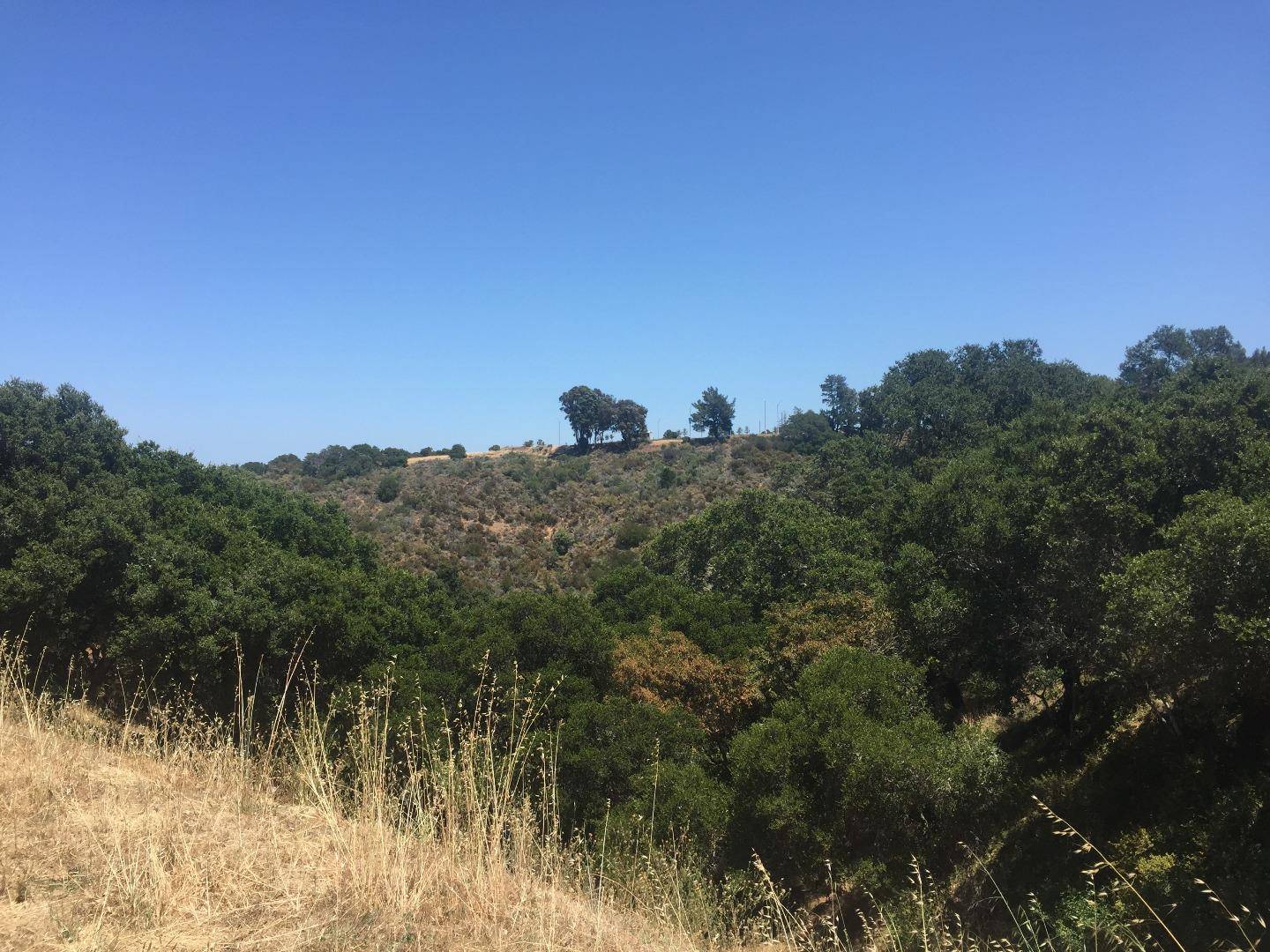 Hillsborough, CA 94010,75 Sugar Hill Drive