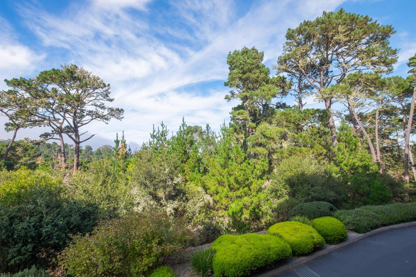 Pebble Beach, CA 93953,37 Shepherds Knoll