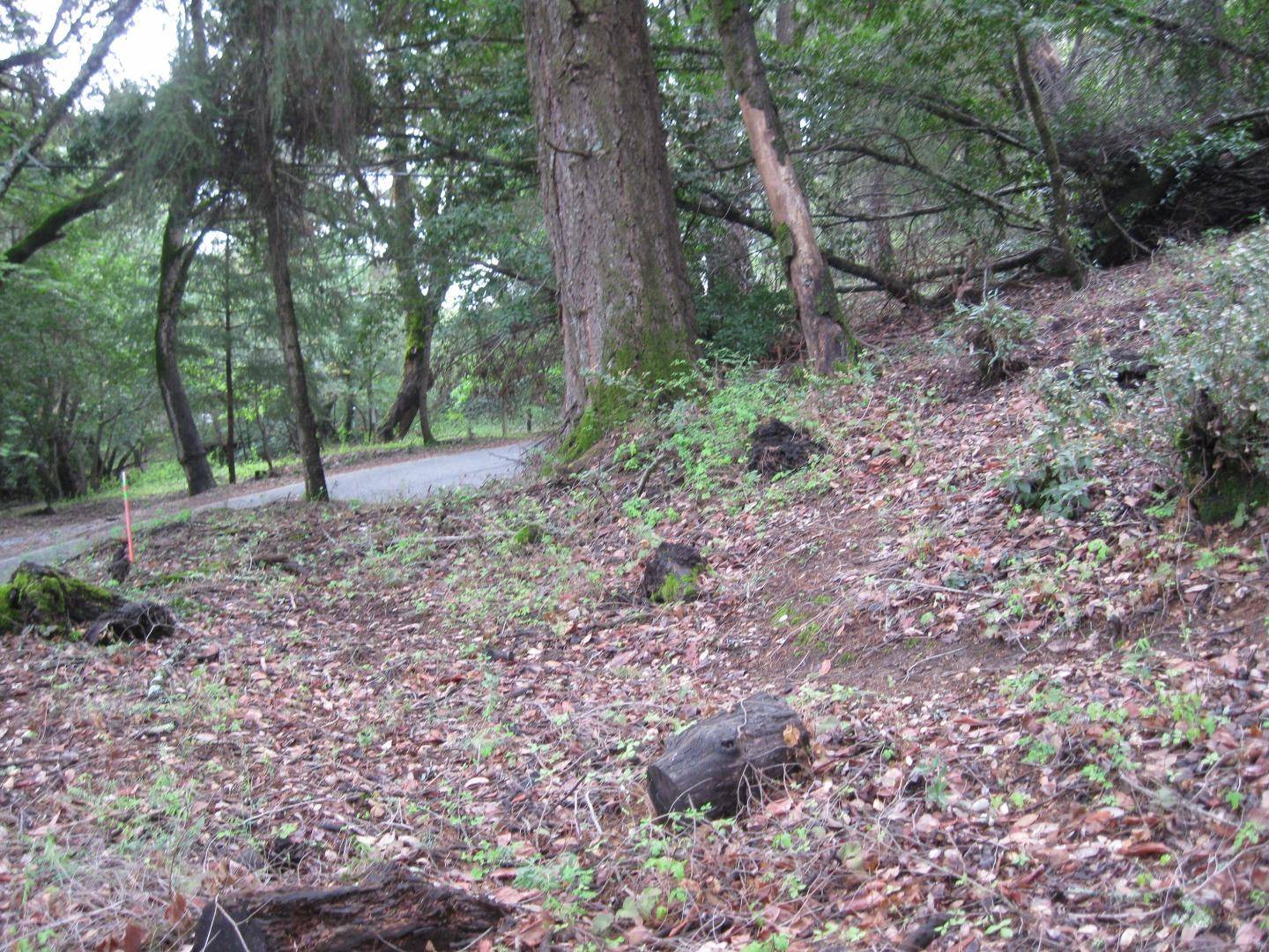 Los Gatos, CA 95033,20241 Gist Road
