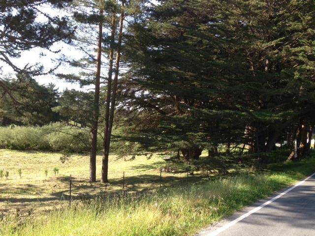 Moss Beach, CA 94038,0 Sunshine Valley