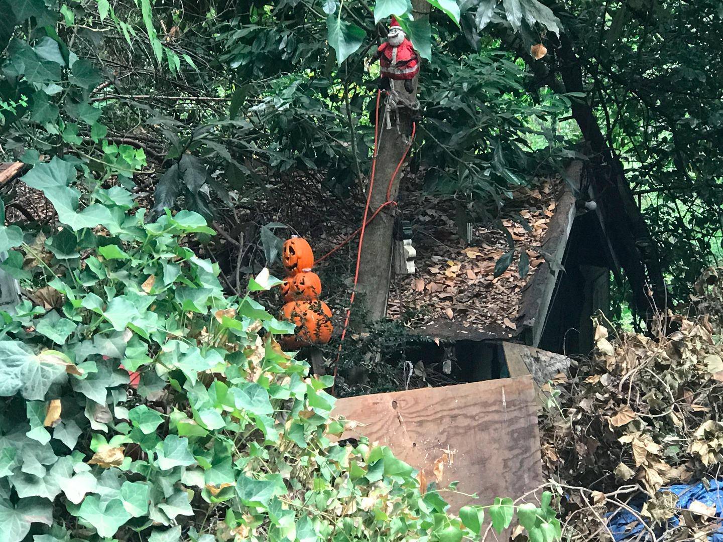 Felton, CA 95018,891 San Lorenzo Avenue