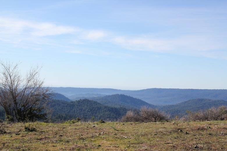 Los Gatos, CA 95033,20711 Bear Creek Road