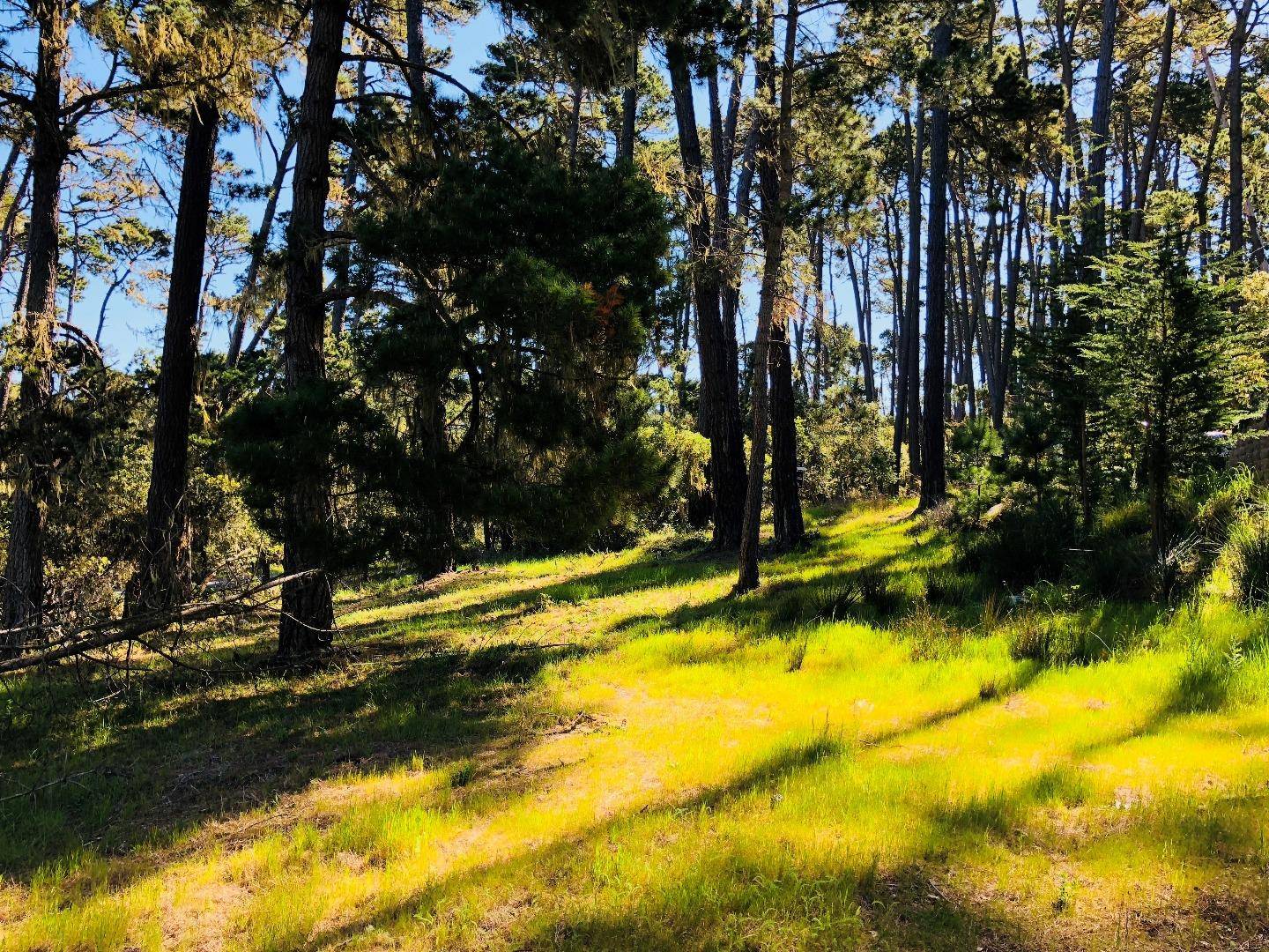 Pebble Beach, CA 93953,2901 Bird Rock Road