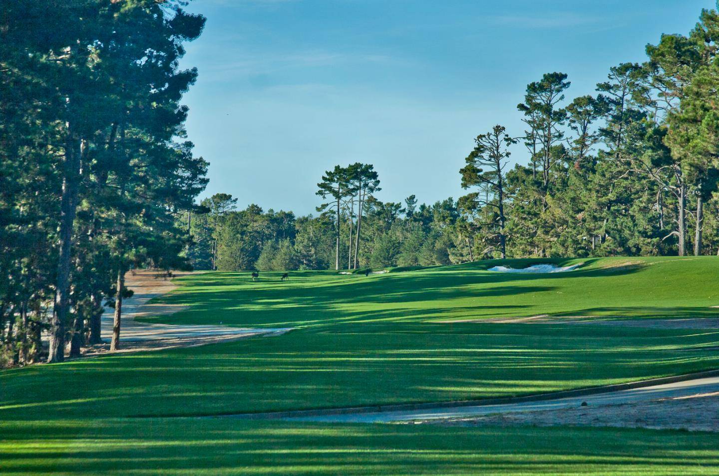 Pebble Beach, CA 93953,3983 Ronda Road