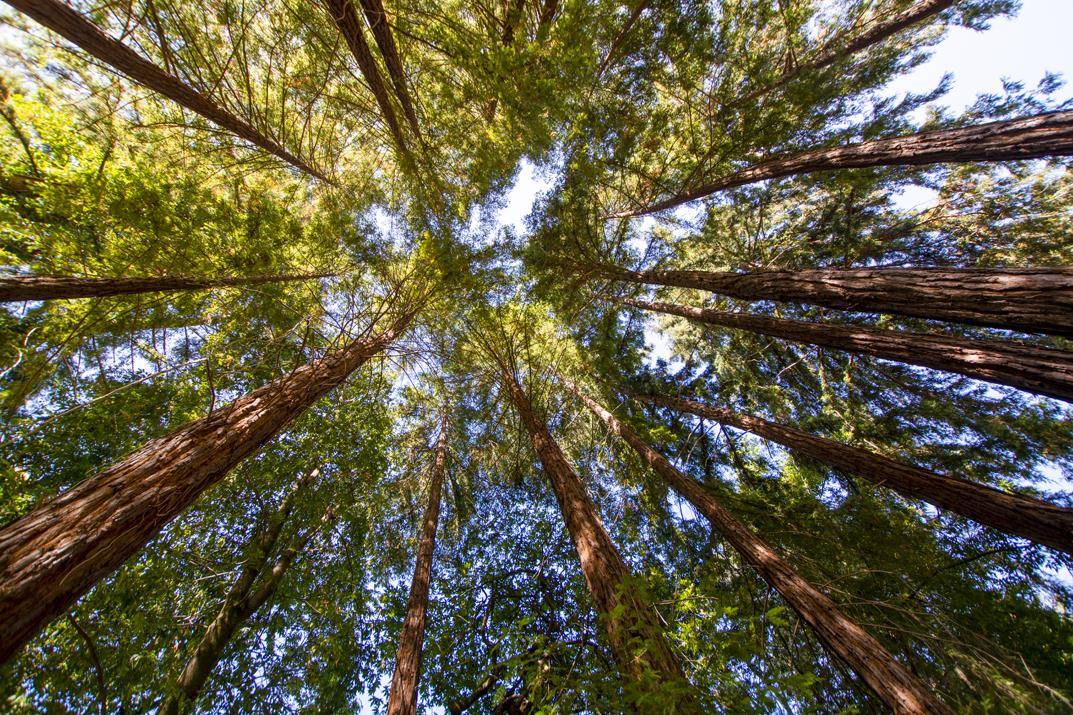 Felton, CA 95018,0 Creekside Way