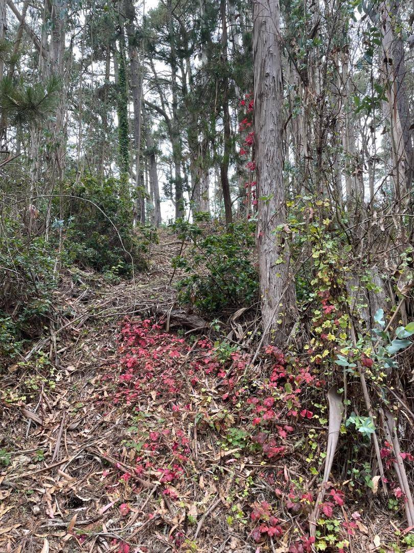 El Granada, CA 94018,00 Del Monte Road