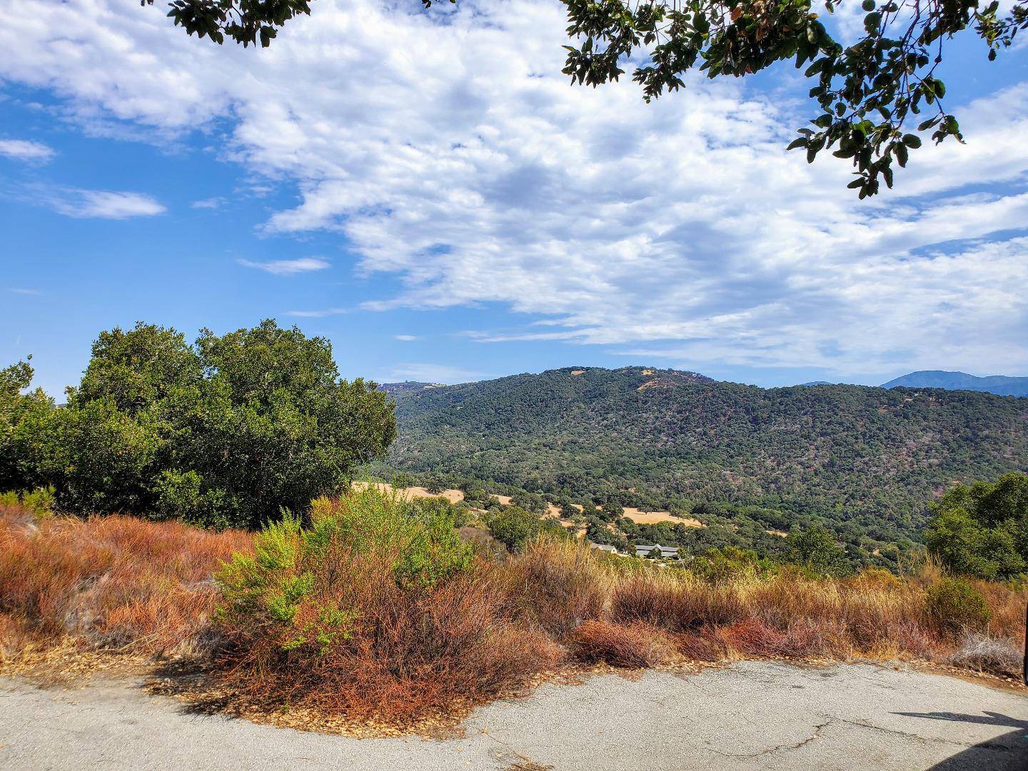 Carmel Valley, CA 93924,350 VIA LOS TULARES