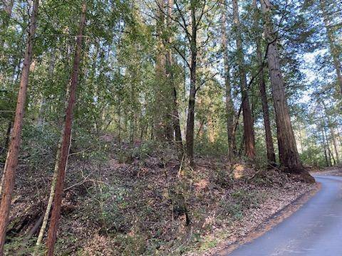 Santa Cruz, CA 95060,0 Warren