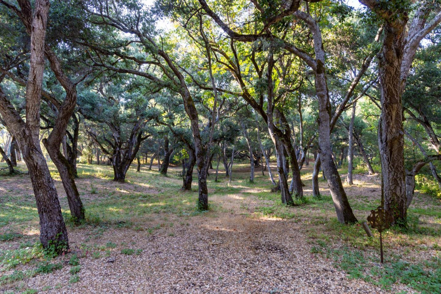 Carmel, CA 93923,9 Garzas Trail