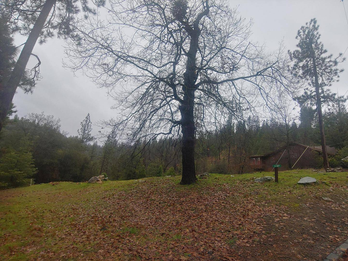 Groveland, CA 95321,13003 Wells Fargo Drive