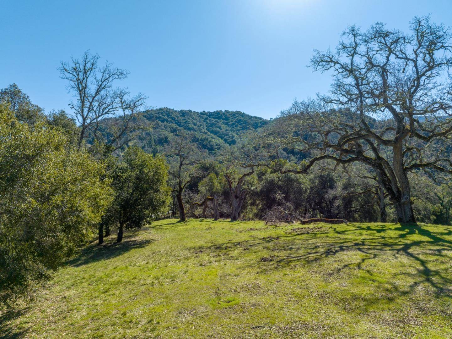 Carmel, CA 93923,25 Arroyo Sequoia (Lot 108)