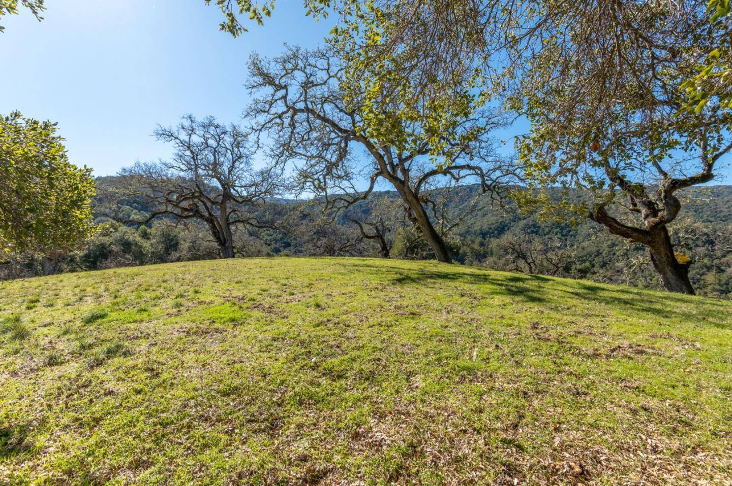 Carmel, CA 93923,25 Arroyo Sequoia (Lot 108)