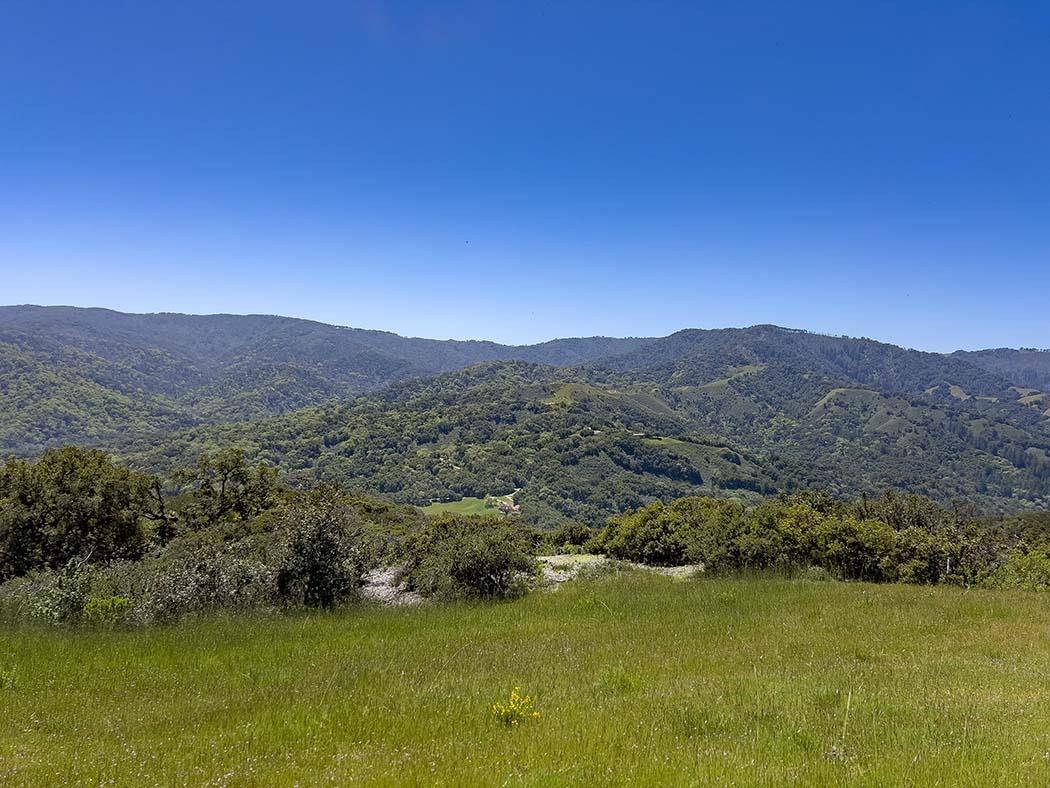 Carmel, CA 93923,57 Chamisal Pass